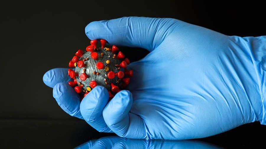 Россия сняла ковидные ограничения на пересечение границы на суше