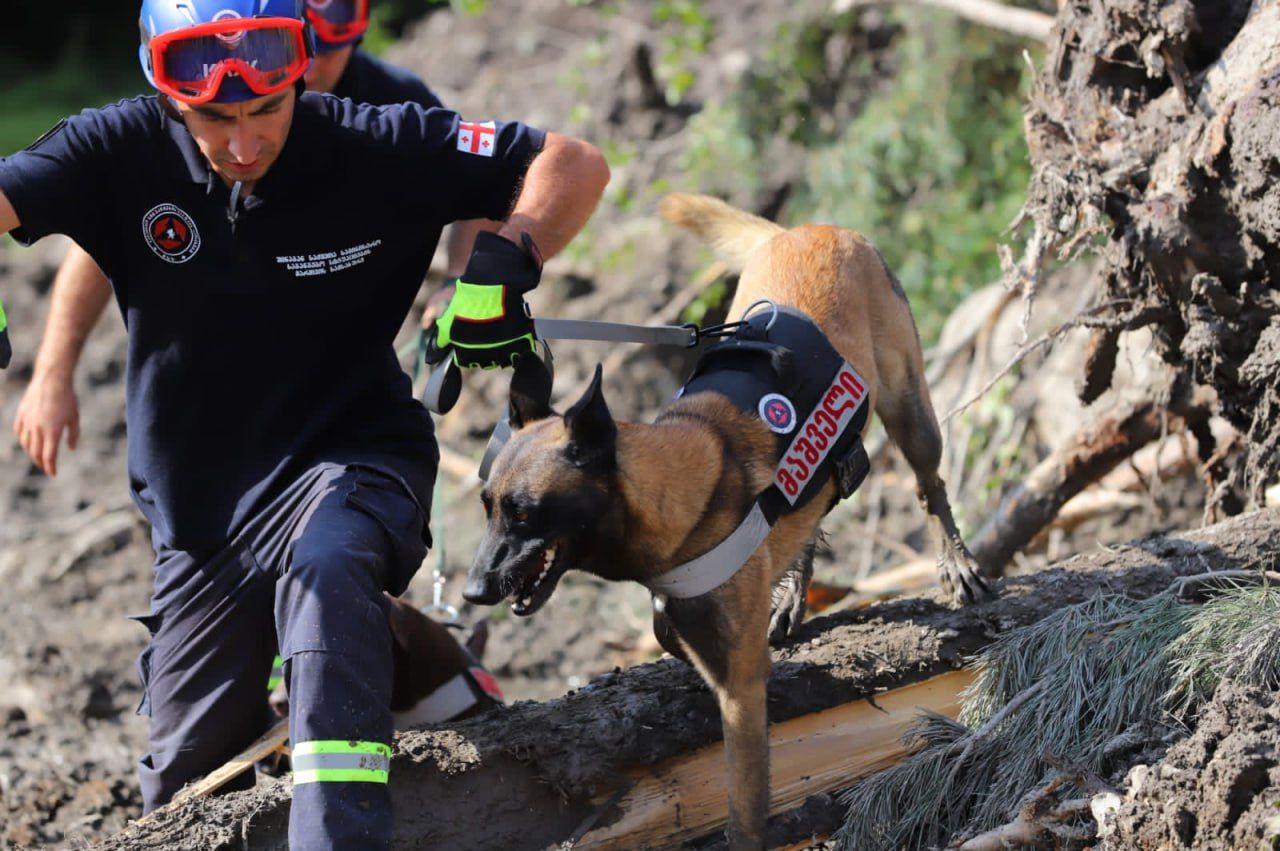 Количество погибших в результате оползня в Грузии достигло 18 человек. Столько же пропали без вести