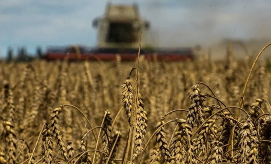 Украина предложила новый способ компромисса с Польшей по зерну