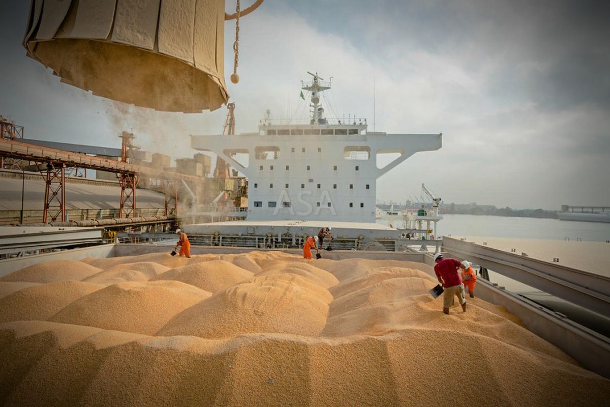 ООН предложила России возобновить "зерновую сделку" в обмен на подключение "Россельхозбанка" к SWIFT — турецкие СМИ