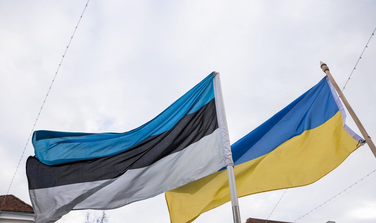 В Эстонии допустили возможность выдачи Украине мужчин, подлежащих мобилизации