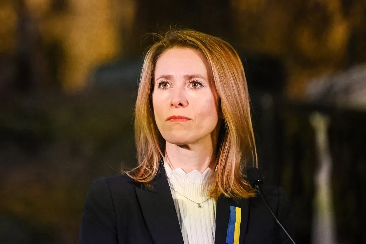 Власти Эстонии хотят депортировать жителей, которые получили гражданство России