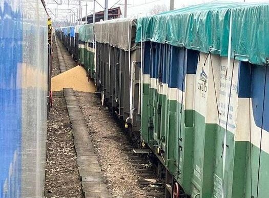 В Польше продолжают высыпать идущее из Украины зерно