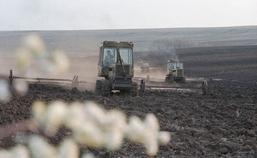 В России введут режим ЧС из-за майских заморозков, повлекших гибель урожая