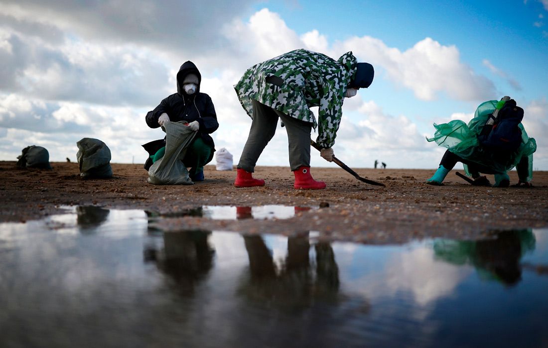 Пляжи Черноморского побережья планируется очистить от мазута из танкеров до февраля