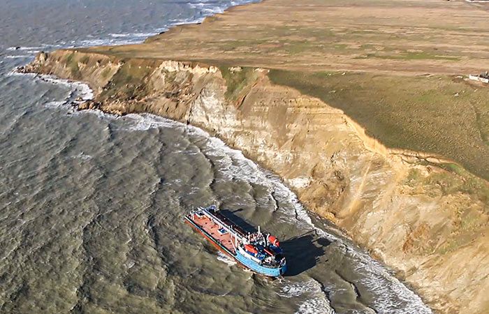 Более 4800 птиц спасены в Краснодарском крае после разлива мазута в Черном море