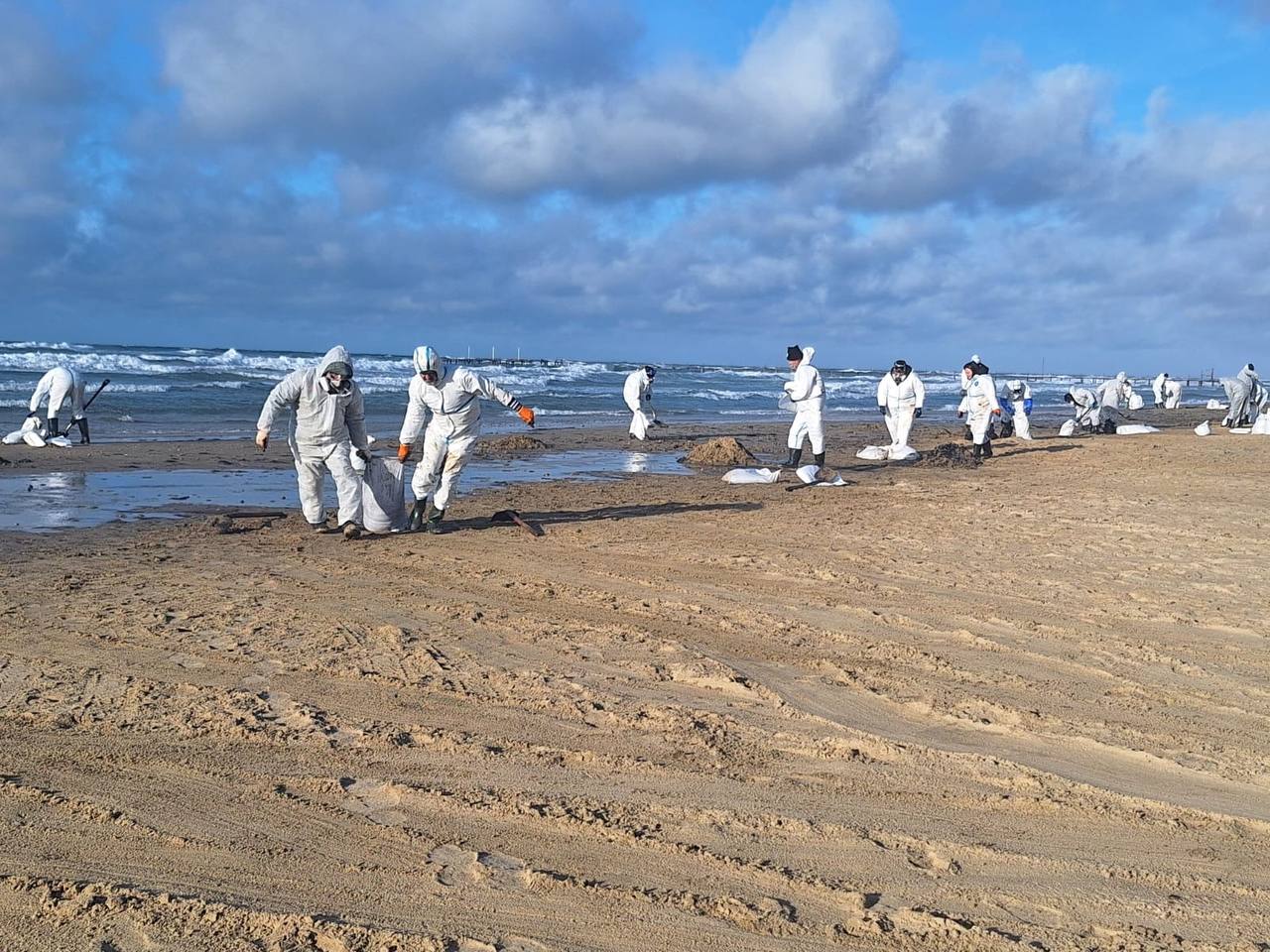 Более 1800 птиц спасены в России после разлива мазута в Черном море